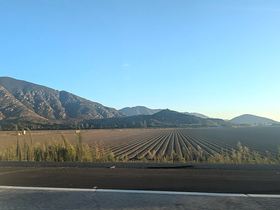 サンタバーバラ旅行から1